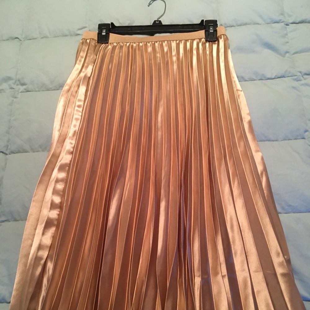 Long pleated skirt